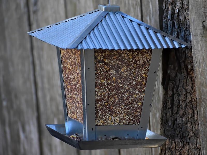 Plastic Bottle Bird Feeders